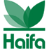 h1